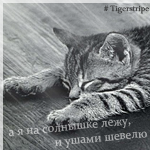 Аватара пользователя
