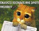 Аватара пользователя