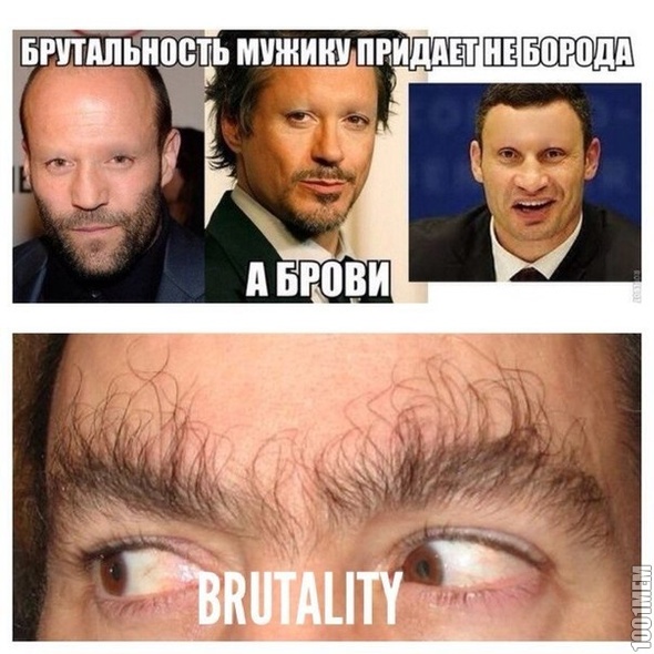3317224.jpg