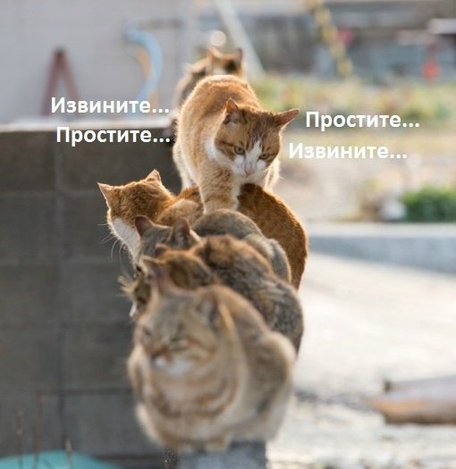 l-mXmDKyPhw.jpeg